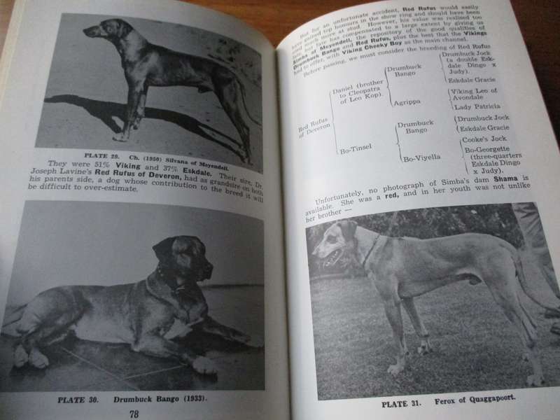 The Rhodesian Ridgeback The Origin, History and Standars  T.C. Hawley