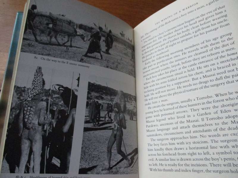 Herd & Spear The Maasai of East Africa  Solomon ole Saibull and Rachel Carr