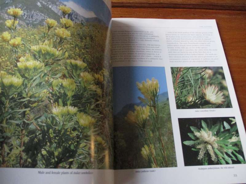 The PROTEA FAMILY in Souther Africa  Colin Paterson-Jones