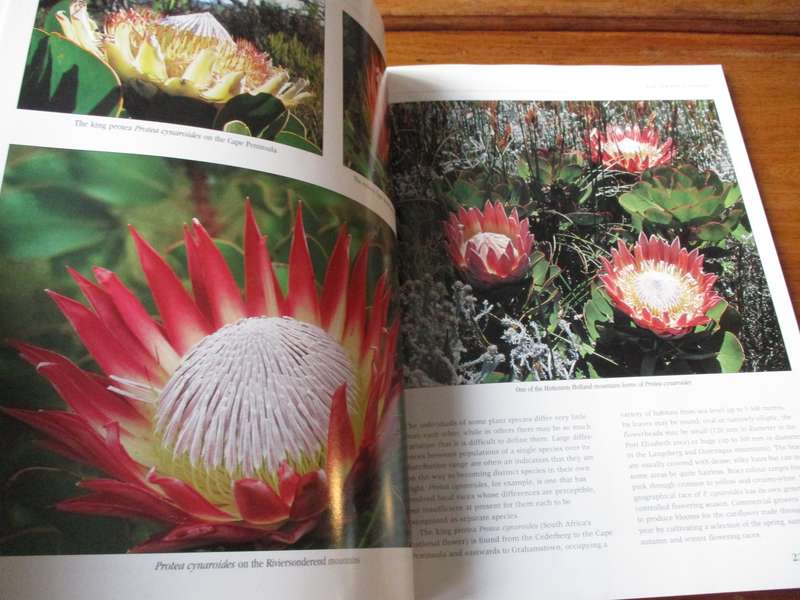 The PROTEA FAMILY in Souther Africa  Colin Paterson-Jones