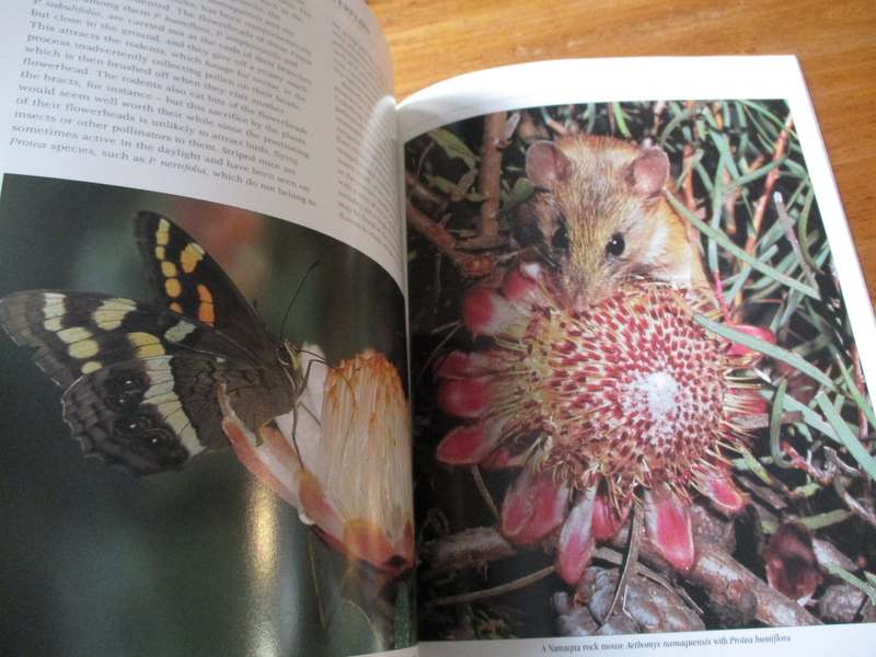 The PROTEA FAMILY in Souther Africa  Colin Paterson-Jones