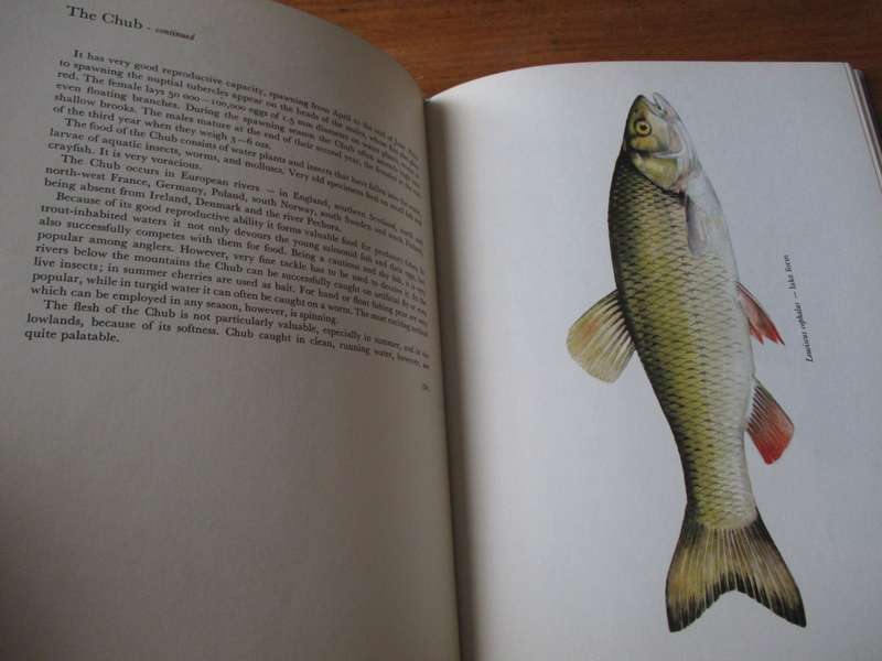Freshwater Fishes  Juraj Holcik and Josef Mihalik