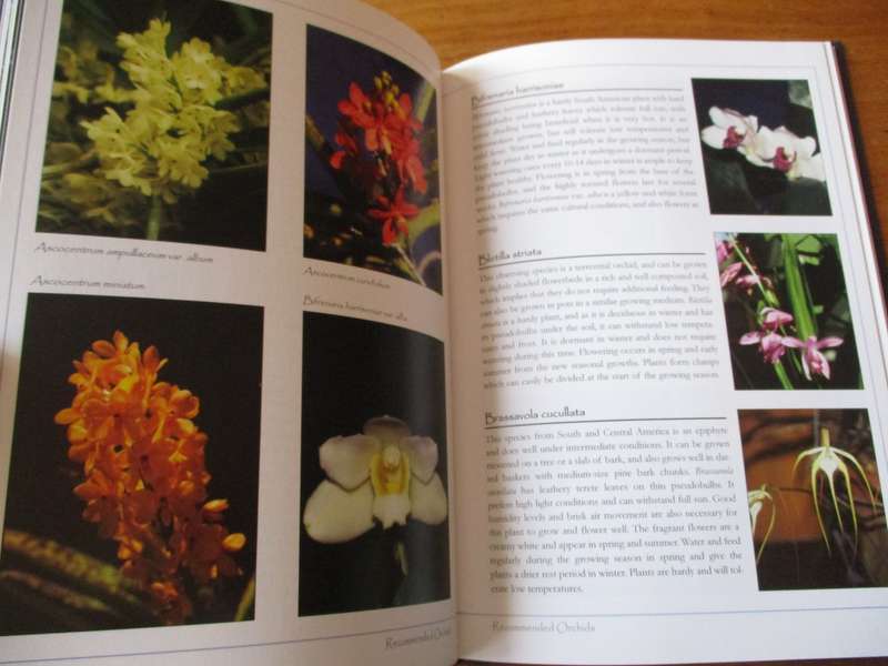 Growing Orchids in South Africa - A Gardener's Guide Hendrik Venter