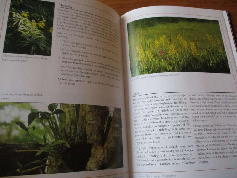 Growing Orchids in South Africa - A Gardener's Guide Hendrik Venter