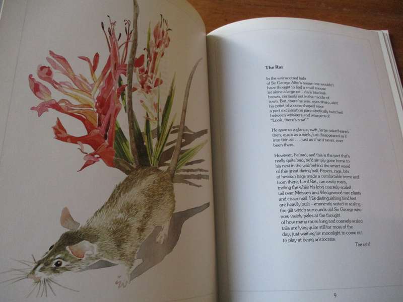 Foxtails  poems by Red Townsend Illustrations by Leigh Voigt