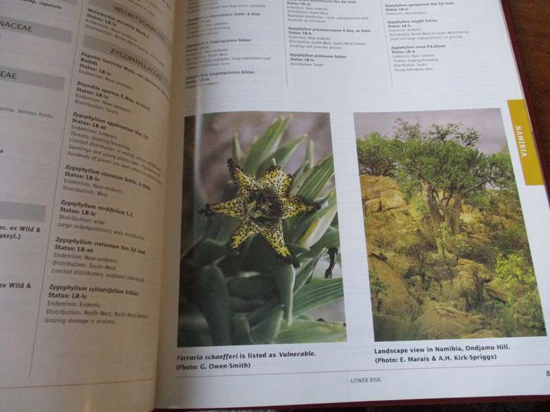 South African Plant Red data Lists  Janice Golding