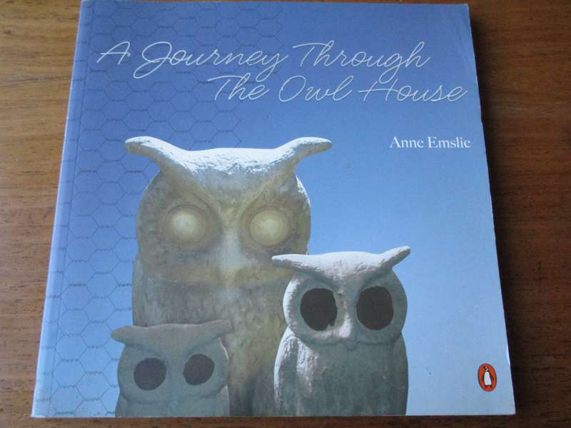 A Journey through The Owl House  Anne Emslie