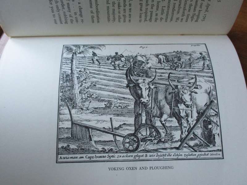 Historic Farms of South Africa 17th and 18th Centuries  Dorothea Fairbridge