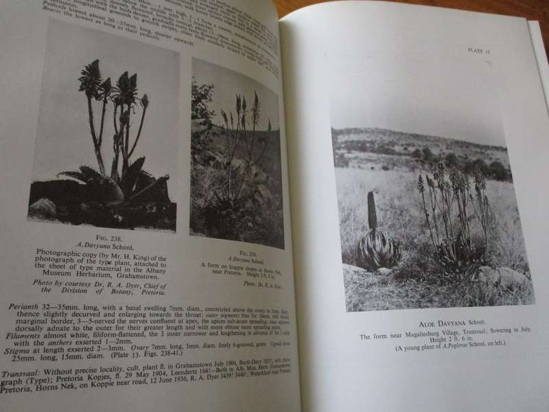 Reynolds' The ALOES of South Africa