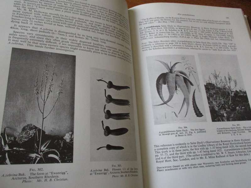 Reynolds' The ALOES of South Africa