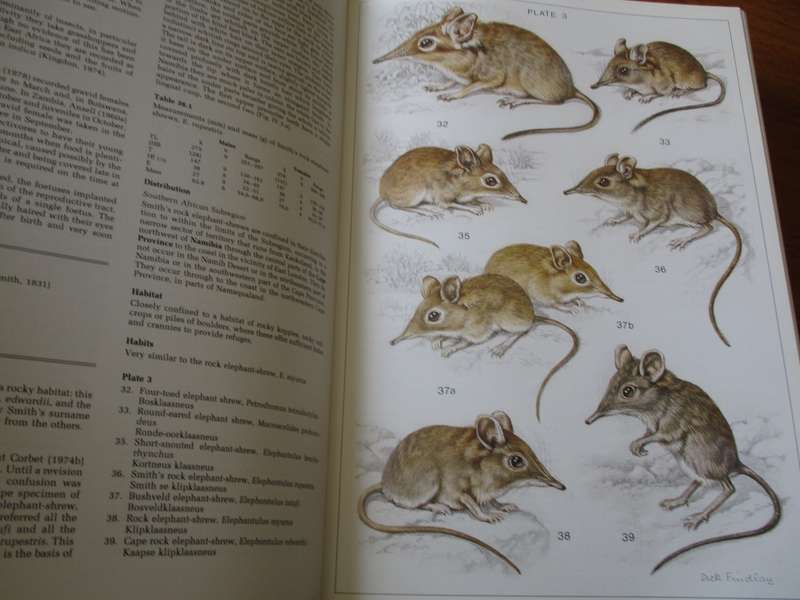 The Mammals of the Southern African Subregion. JD Skinner and RHN Smithers