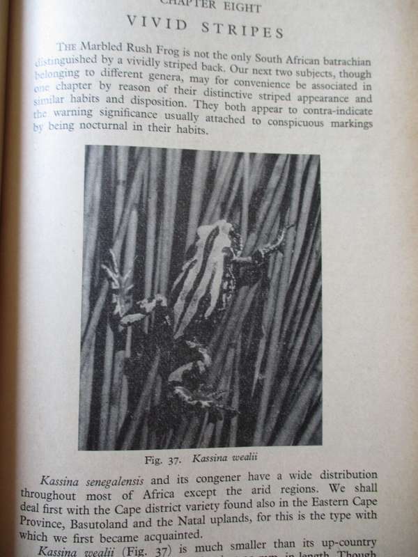 The Reptiles & Amphibians of Souther Africa  Walter Rose
