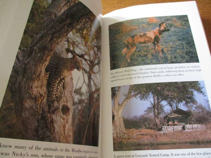 Don't look behind you  True tales of a safari guide  Peter Allison
