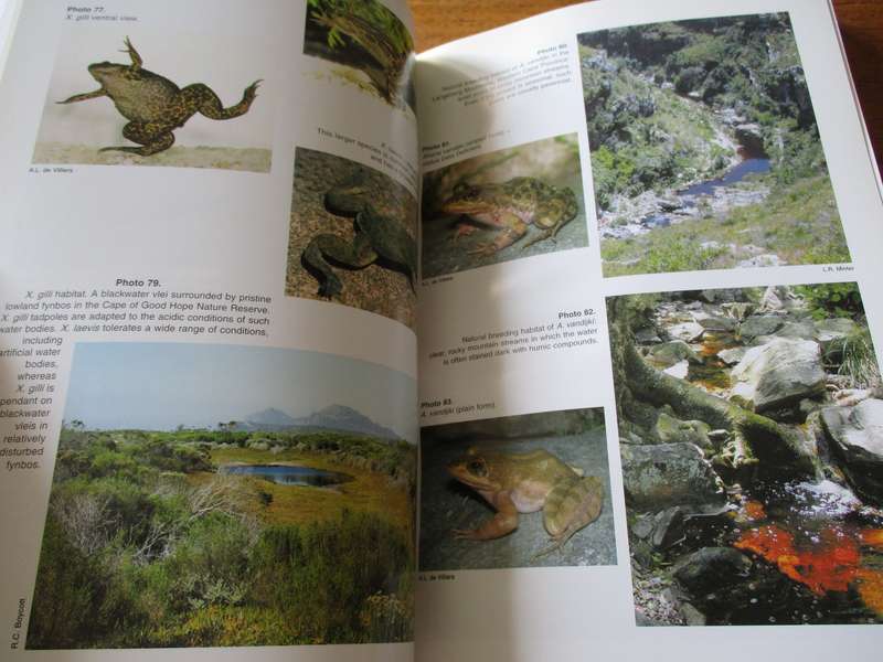 Atlas and Red Data Book of the Frogs of South Africa, Lesotho and Swaziland  Minter, Burger...
