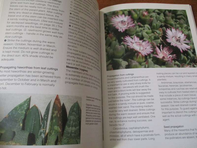 GROW Succulents - Kirstenbosch Gardening Series Ian Oliver