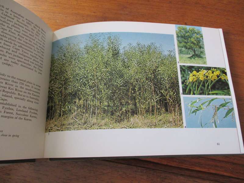 Plant Invaders beautiful, but dangerous CH Stirton