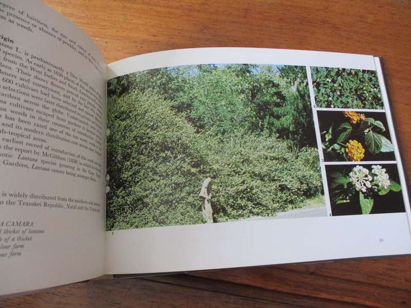 Plant Invaders beautiful, but dangerous CH Stirton