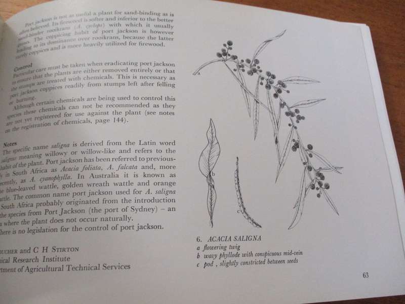Plant Invaders beautiful, but dangerous CH Stirton