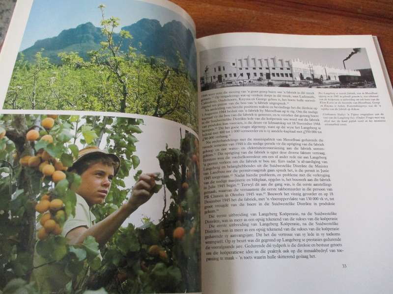 LANGEBERG  50 Jaar van Inmaakprestasie 1940-1990  D.J. Van Zyl