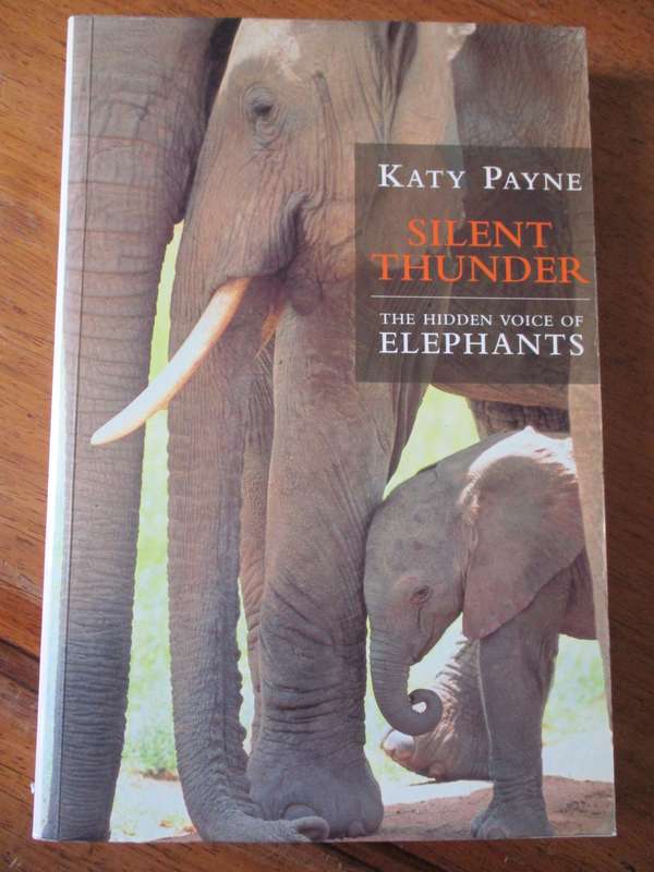 Silent Thunder  The hidden voice of Elephants  Katy Payne