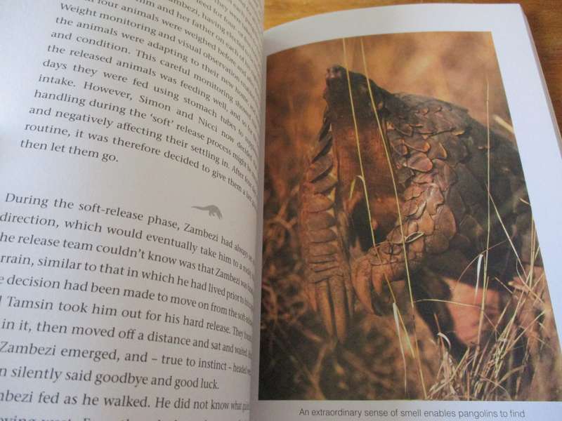 PANGOLINS  Scales of injustice Richard Peirce