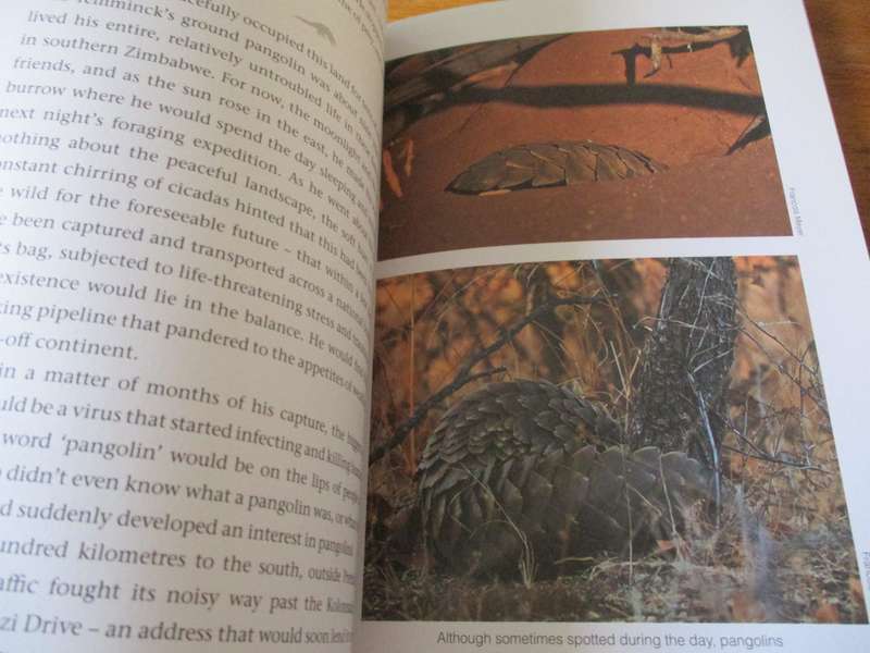 PANGOLINS  Scales of injustice Richard Peirce
