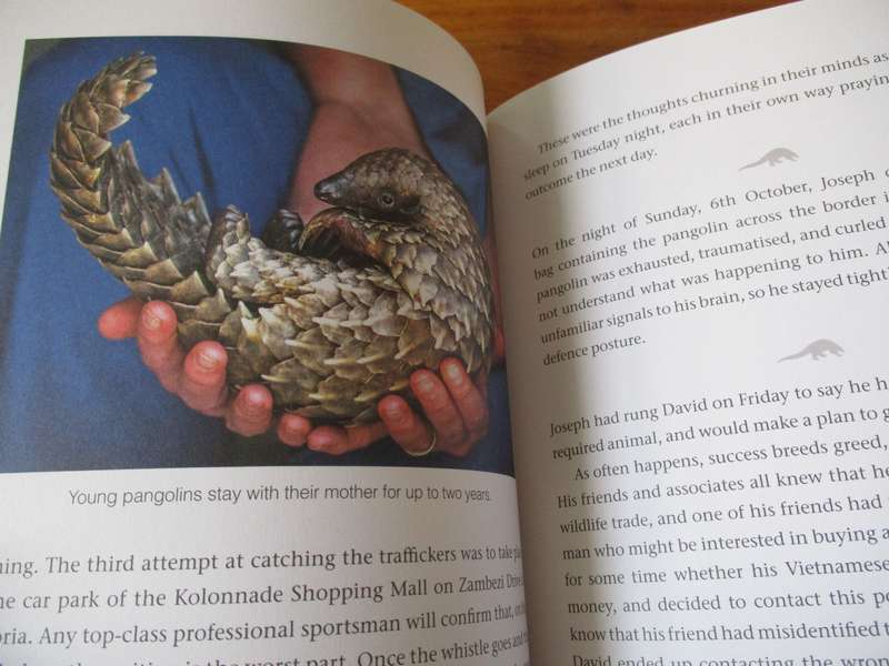 PANGOLINS  Scales of injustice Richard Peirce