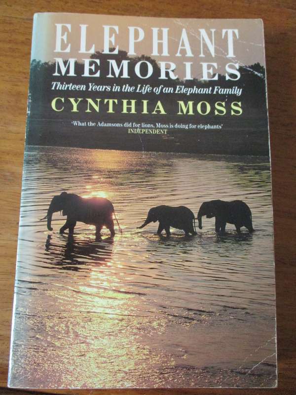 Elephant Memories  Thirteen years in the Life of a Elephant family Cynthia Moss