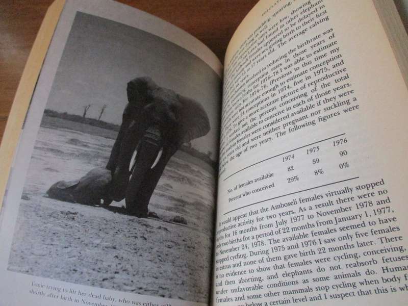Elephant Memories  Thirteen years in the Life of a Elephant family Cynthia Moss