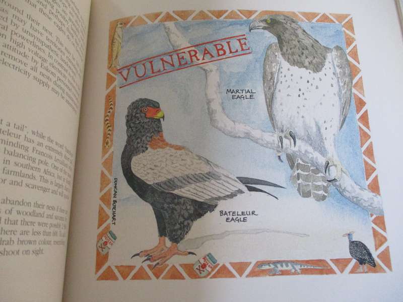 SIGNED. South Africa's threatened Wildlife  John Ledger