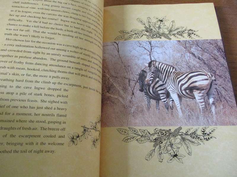 UMBULALA  Through the eyes of a leopard Lena Godsall Bottriell