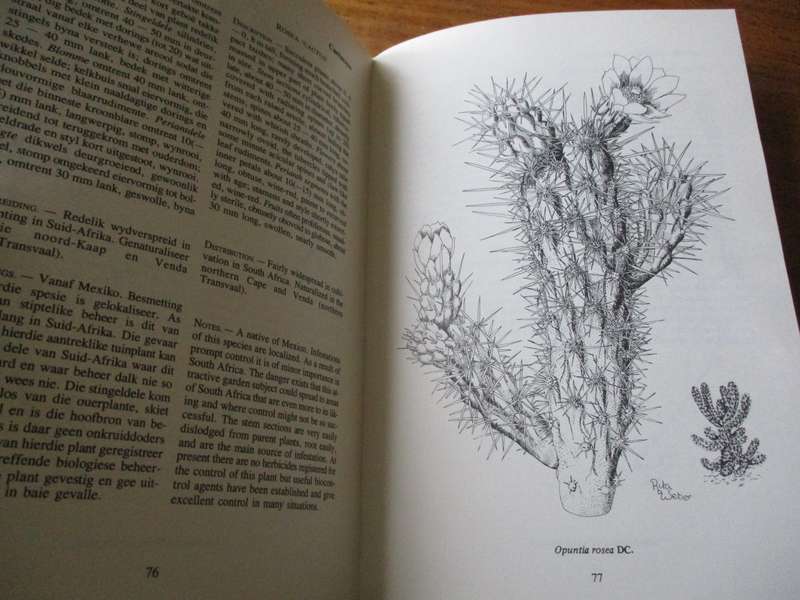 Declared weeds and alien plants in South Africa  Henderson Fourie Wells