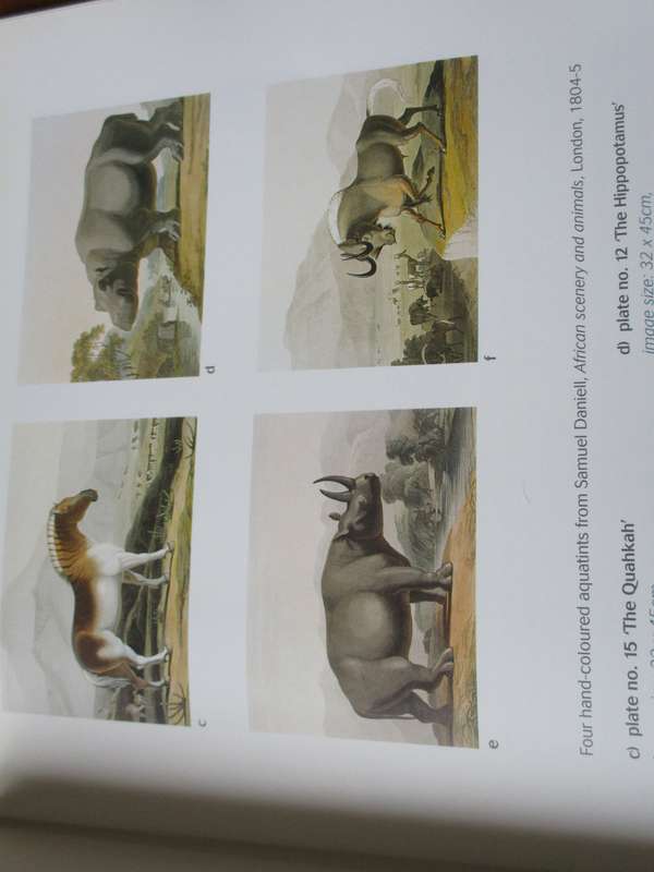 South African Paintings 1780 - 1980  M Stevenson D Viljoen