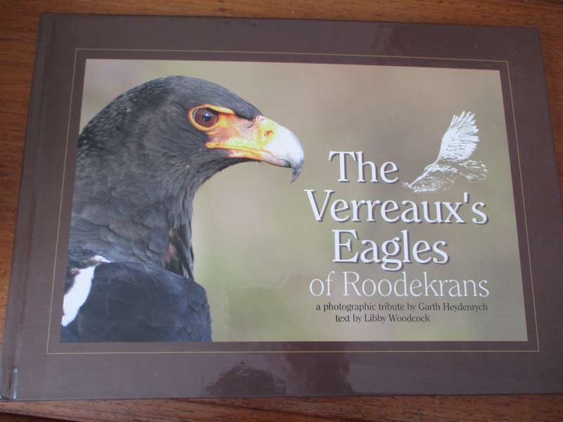 The verreaux's Eagles of Roodekrans G Heydenrych  L Woodcock