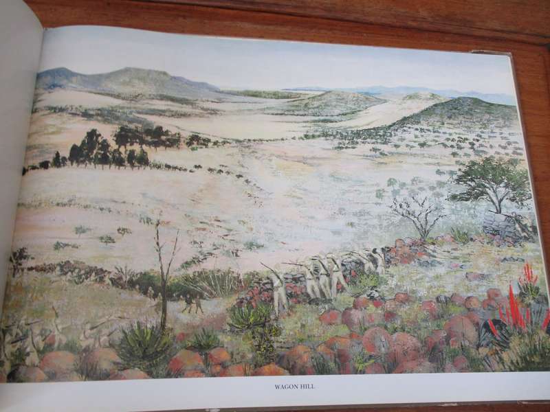 Battlefields of South Africa Paintings by Gail van Lingen Authors Chadwick, Duxbury, Laband, et al.