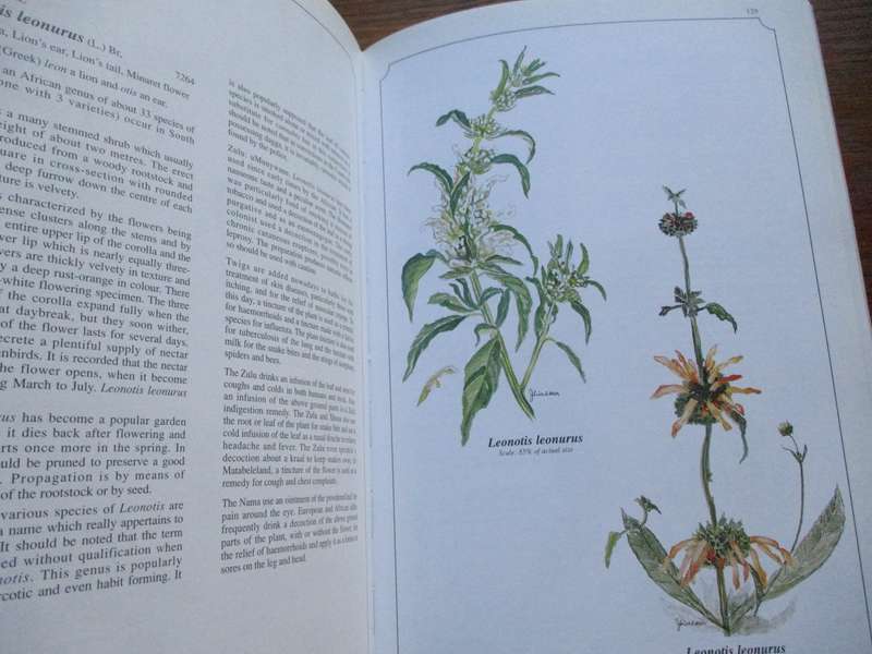 SIGNED. Wild Flowers of Kwa-Zulu Natal  Joan Walker