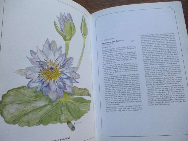 SIGNED. Wild Flowers of Kwa-Zulu Natal  Joan Walker