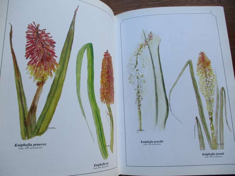 SIGNED. Wild Flowers of Kwa-Zulu Natal  Joan Walker
