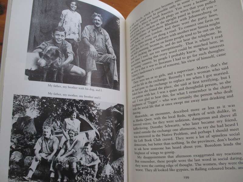 Doris Lessing Under my skin