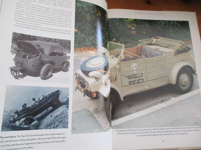 The VW Beetle A celebration of the VW Bug Christy Campbell