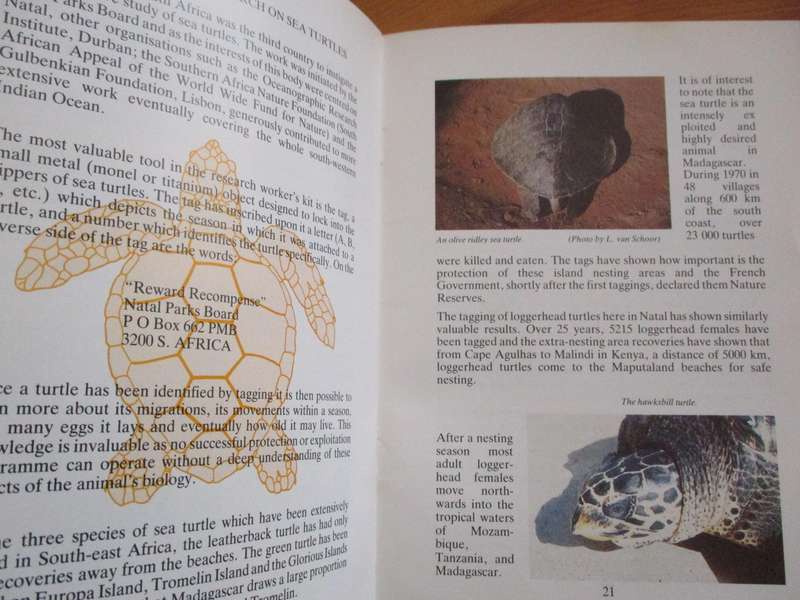 Sea Turtles : A guide by Georges R. Hughes