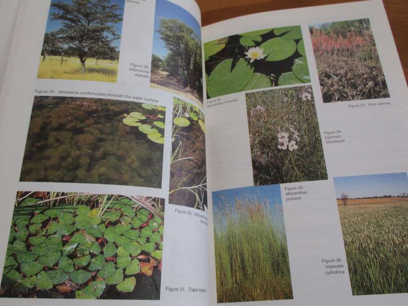 Plants of the Okavanga Delta  A Field Guide Karen and William Ellery