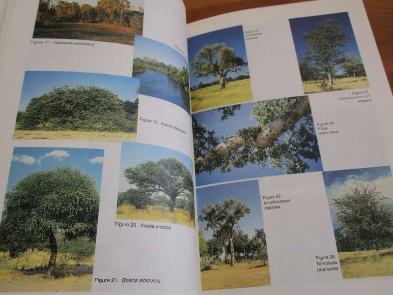 Plants of the Okavanga Delta  A Field Guide Karen and William Ellery