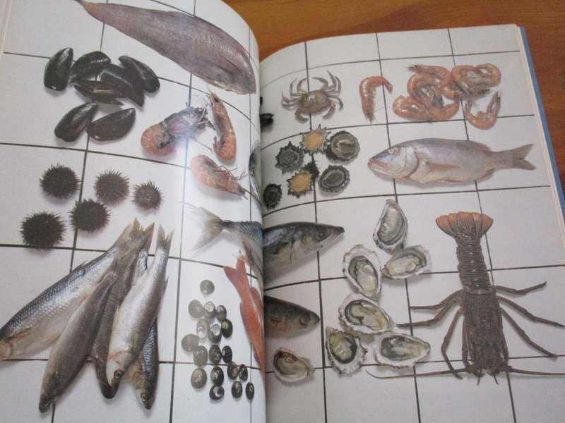 Free from the sea  The Seafood Cookbook  NLannice Snyman  Anne Klarie