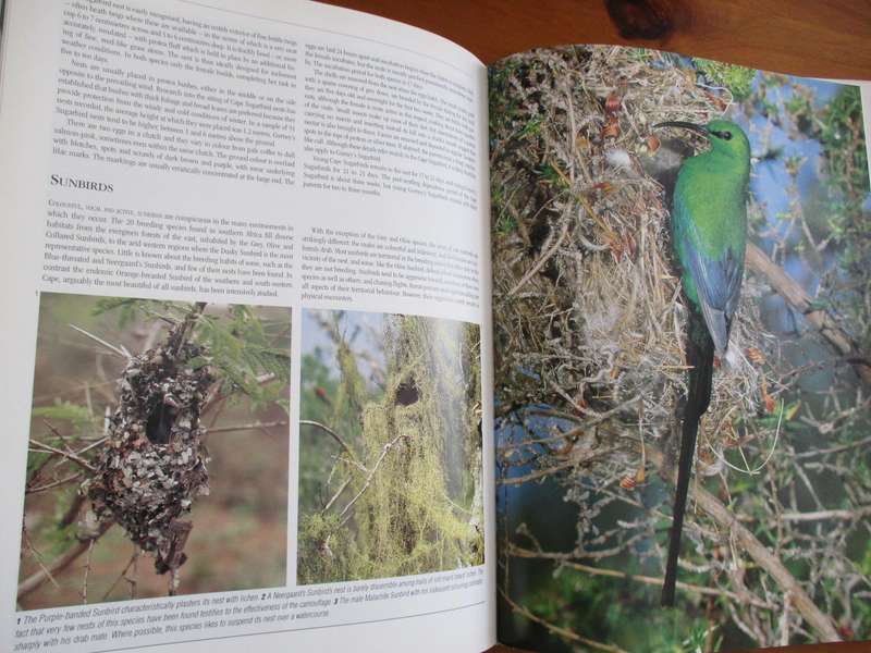 Signed Peter Steyn. NESTING BIRDS. The breeding habits of SA birds