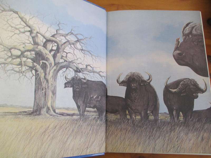 HUNTING IN SOUTHERN AFRICA - 1994
