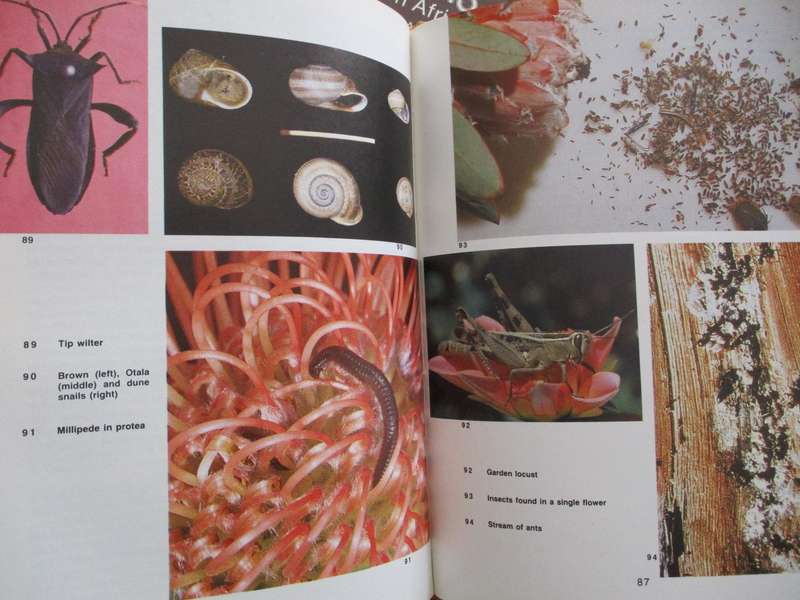 CROP PESTS IN SOUTHERN AFRICA. 5 Volume Set