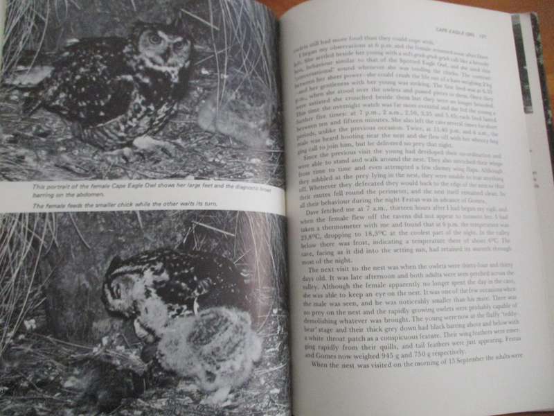 A Delight of Owls - African Owls observed - Peter Steyn