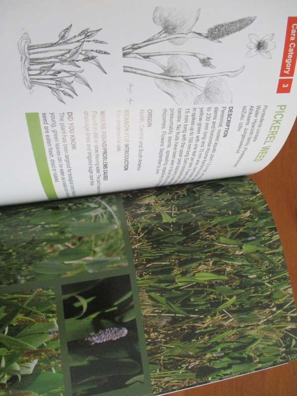 Invasive alien plants in Kwazulu-Natal  Managment and control