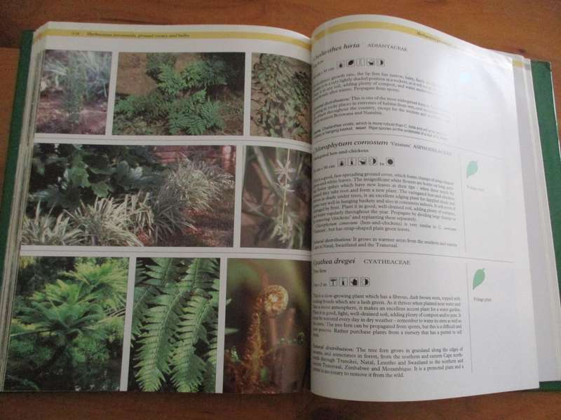 The Gardeners guide to South African Plants  Pita Joffe